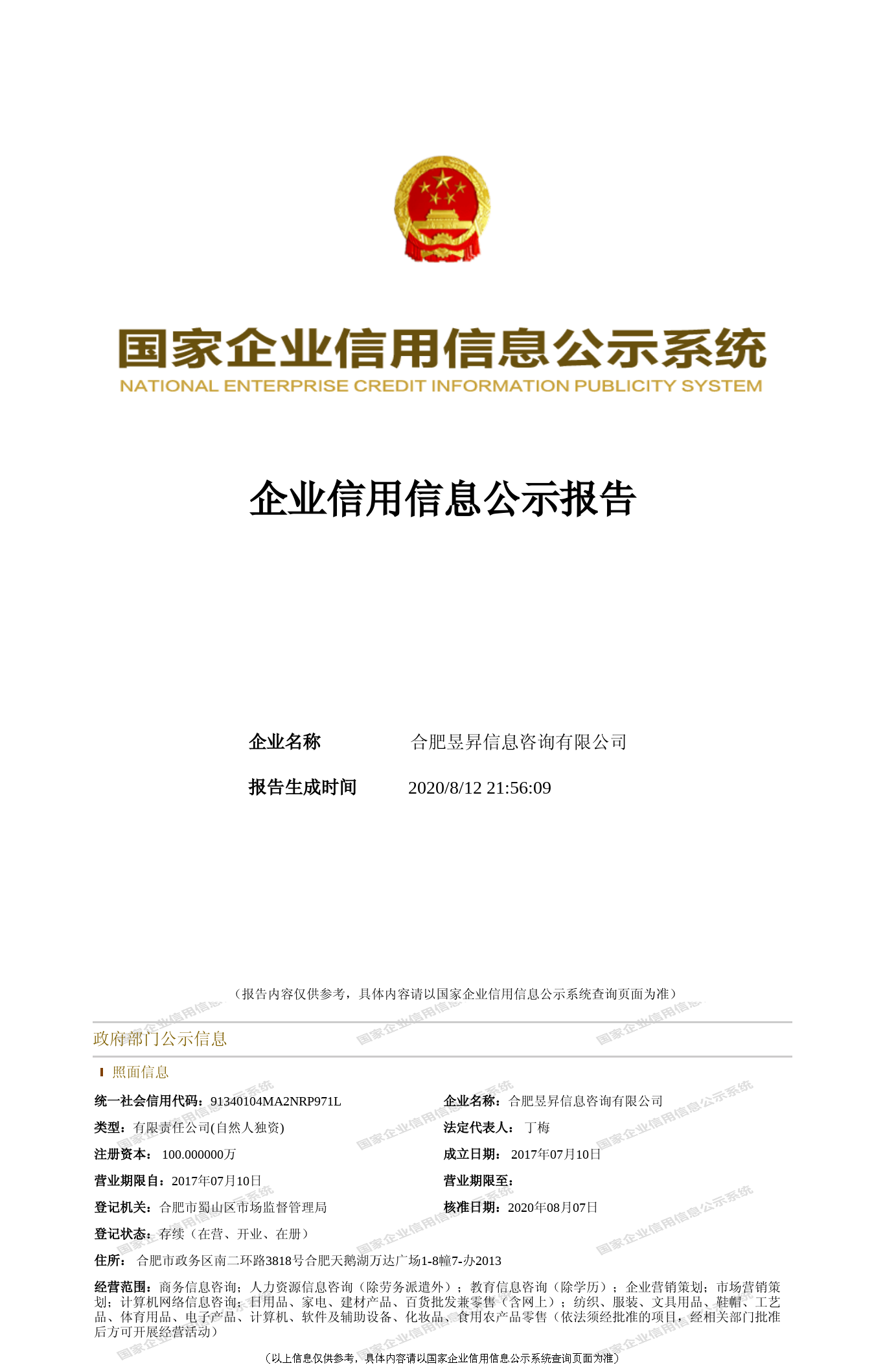 合肥昱升信息咨詢 專業驅動，賦能企業決策新高度